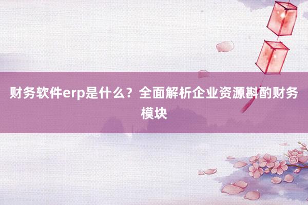 财务软件erp是什么？全面解析企业资源斟酌财务模块