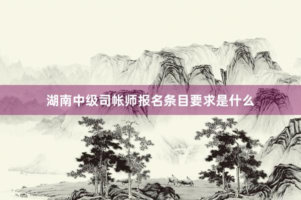 湖南中级司帐师报名条目要求是什么