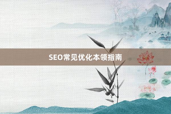 SEO常见优化本领指南