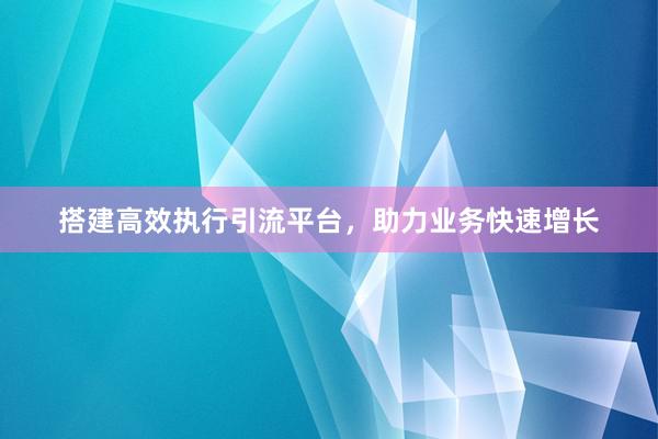搭建高效执行引流平台，助力业务快速增长