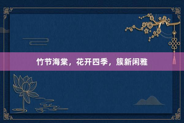 竹节海棠，花开四季，簇新闲雅