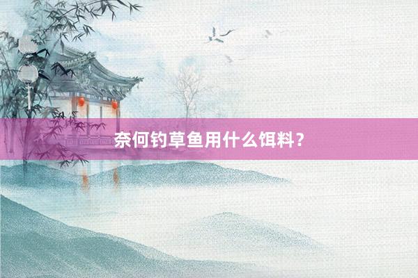 奈何钓草鱼用什么饵料？